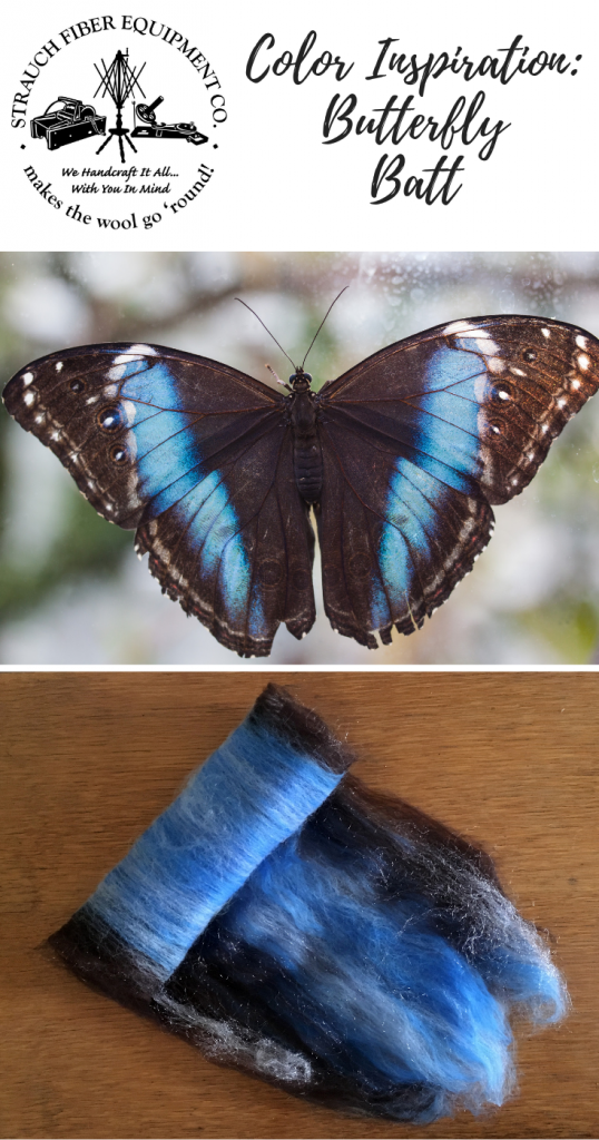 butterfly battPINTEREST