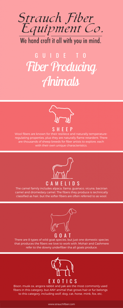 Infographic about fiber producing animals