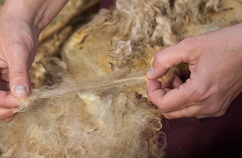 testing tensile strength of wool fleece fiber