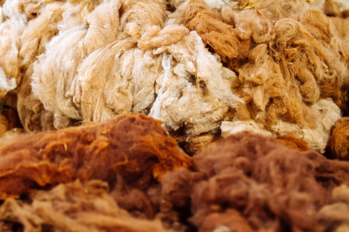 Macro close-up of raw alpaca fibers piled in a deposit