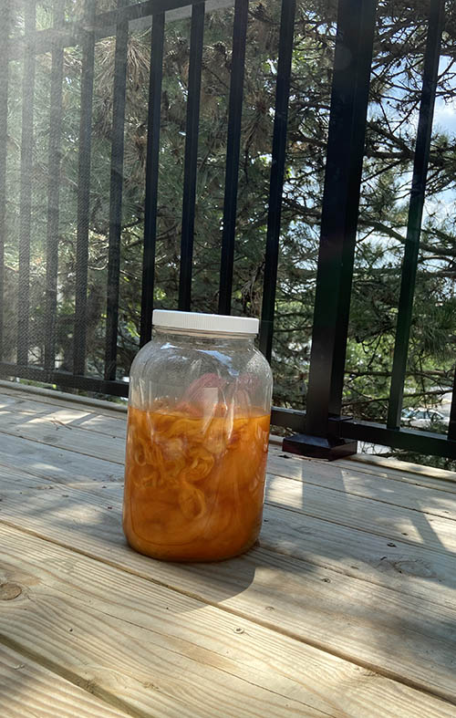 yarn and fiber dyeing using the summer sun