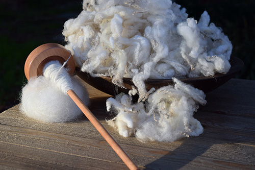 Wood bowl filled with raw sheep fleece and a drop spindle wrappe